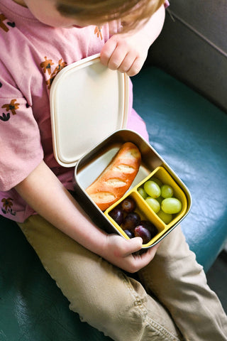 STAINLESS STEEL LUNCHBOX with compartments for KIDS 